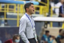 الزمالك يرد على حقيقة اقتراب بيدرو إيمانويل من تدريب الفريق